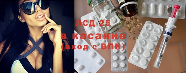 дмт Бородино