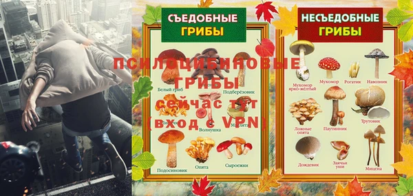 Альфа ПВП Дмитриев
