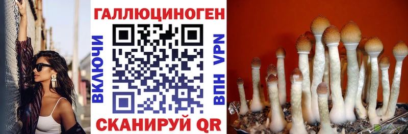 Псилоцибиновые грибы Cubensis  наркота  Чудово 